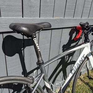 Giant Suede (White/Black) White