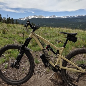 2020 Diamondback Realease 3 Brown and Black