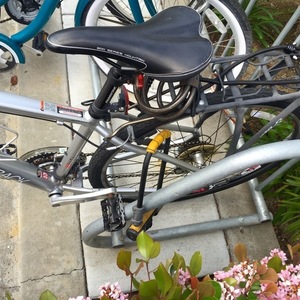 2011 Diamondback Trace Silver or Gray