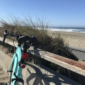 2020 HeartsBio Model H Blue