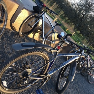 2016 Cannondale Trail 7 Silver or Gray