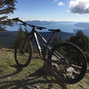 2018 Trek Fuel EX 9.8 29 Silver, gray or bare metal