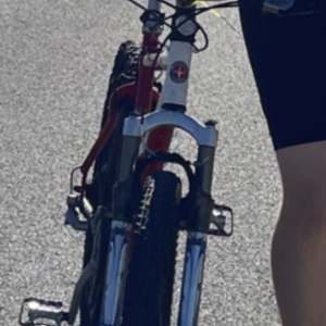 Schwinn Red and White