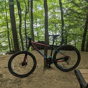 2018 Giant Talon Black, Pink, and Blue