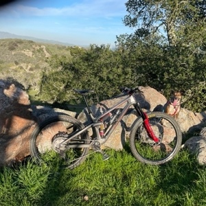 2021 Transition Bikes Sentinal Silver, gray or bare metal