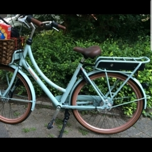 Gazelle Puur NL Green