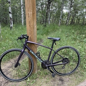 2019 Specialized Sirrus Purple