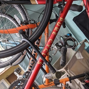 Pure Fix Cycles Semper Deinceps Red