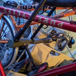 Pure Fix Cycles Semper Deinceps Red