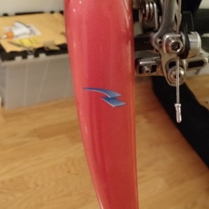 Spectrum Custom Road Titanium Pink