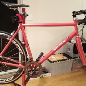 Spectrum Custom Road Titanium Pink