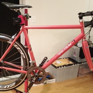 Spectrum Custom Road Titanium Pink