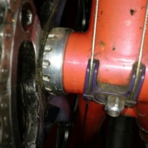 Spectrum Custom Road Titanium Pink