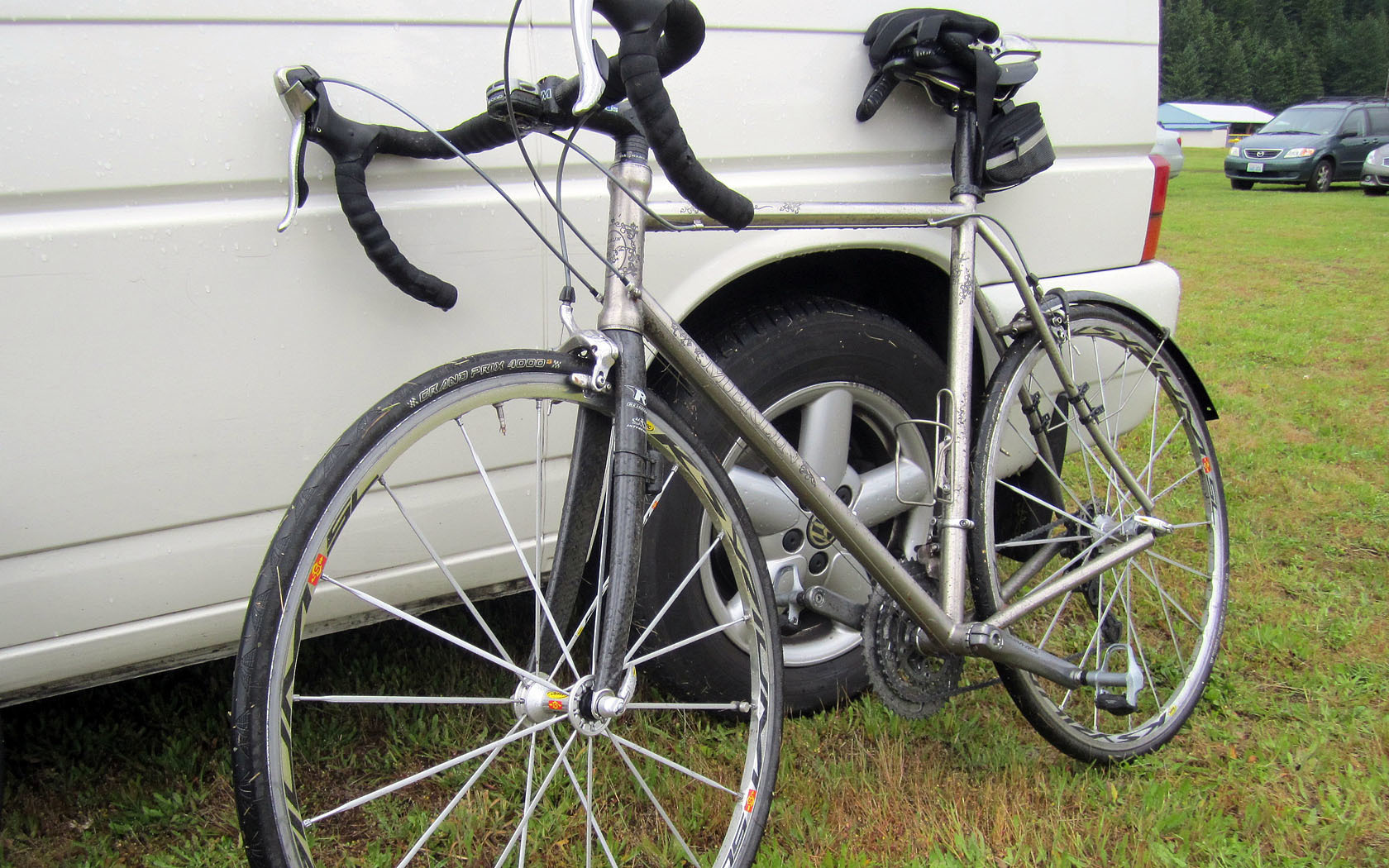 merlin cyrene for sale