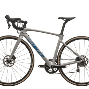 2020 Specialized Roubaix Sport Silver, gray or bare metal