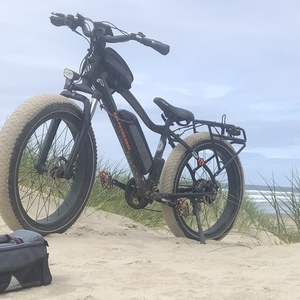 2019 Rad Power Bikes Rover Black