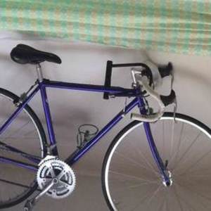 Performance Bike Shop Unknown Purple