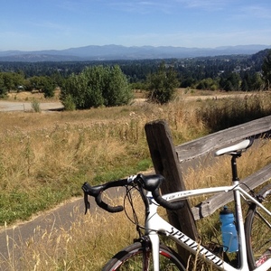 Specialized Tarmac Comp White