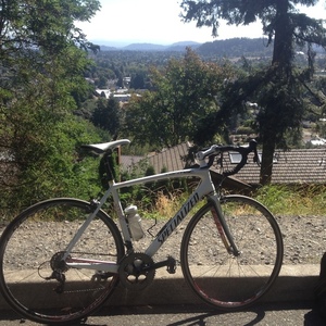 Specialized Tarmac Comp White