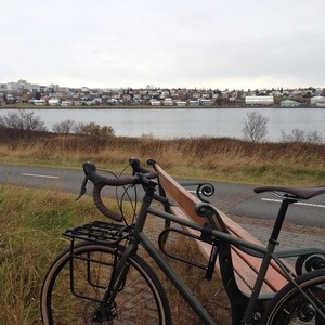 2016 Specialized AWOL Green