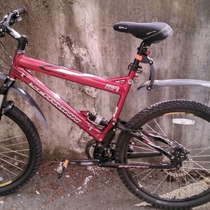 メ*8様 SCHWINN moab DS1 マウンテンバイク　26インチ フルレストア】 SCHWINN MOAB 復活？いや、もうこれは