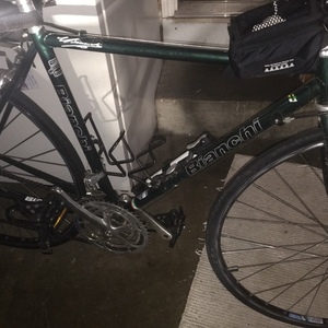 1995 Bianchi Eros Green