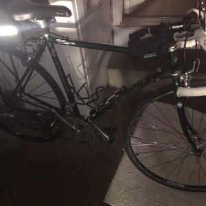 1995 Bianchi Eros Green