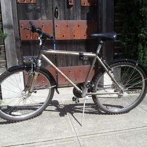 Giant Yukon Silver or Gray