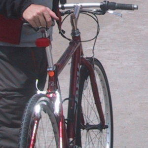 Trek 7300 Red