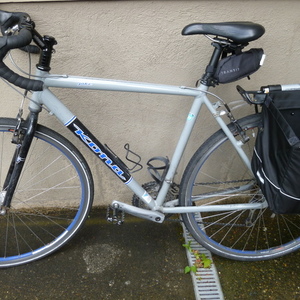 Kona jake Silver or Gray