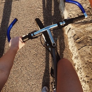 Specialized Rockhopper Silver or Gray