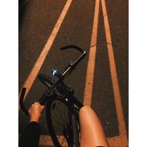 Specialized Rockhopper Silver or Gray