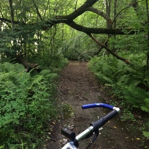 Specialized Rockhopper Silver or Gray