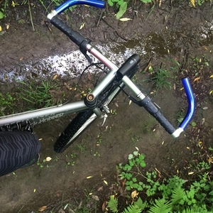 Specialized Rockhopper Silver or Gray