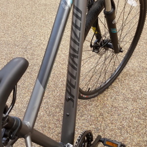 2016 Specialized Ariel Disc Silver or Gray and Teal