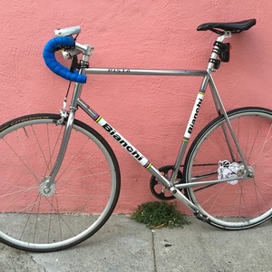 Bianchi Pista Silver or Gray