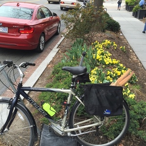 2002 Trek 7100 Black and Blue