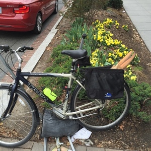 2002 Trek 7100 Black and Blue