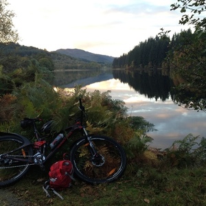 2014 Trek Fuel EX 9.8 29 Red and Brown