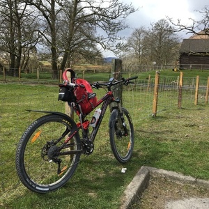 2014 Trek Fuel EX 9.8 29 Red and Brown