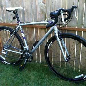 2013 Raleigh RX 1.0 (womens) Silver or Gray and Purple
