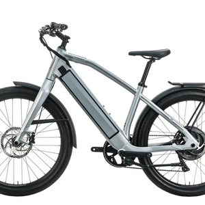2021 Stromer ST1 Silver, gray or bare metal