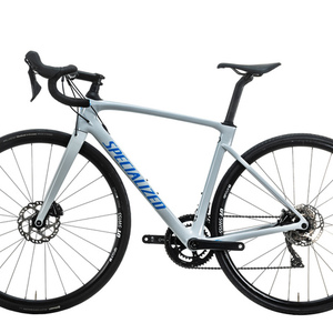 2020 Specialized Roubaix Sport Silver, gray or bare metal