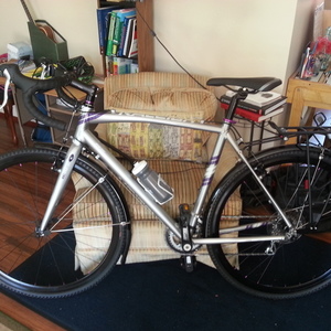 2013 Raleigh RX 1.0 (womens) Silver or Gray and Purple