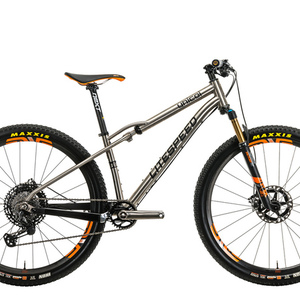 2020 Litespeed Unicoi Silver, gray or bare metal