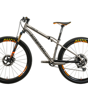 2020 Litespeed Unicoi Silver, gray or bare metal