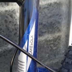 2004 Gary Fisher Cake 3_DLX Blue and Black