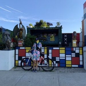 2020 Trek Verve 1 Disc Lowstep White and Yellow or Gold