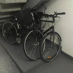 Miyata Three Ten Vintage Silver, gray or bare metal