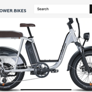 2022 Rad Power Bikes RadRunner Plus Silver, gray or bare metal